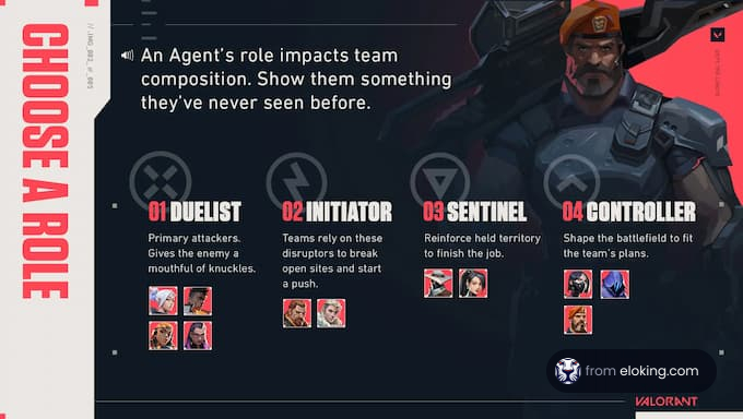 Official Valorant roles card